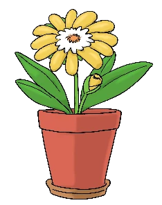 wie schön die Natur ist.